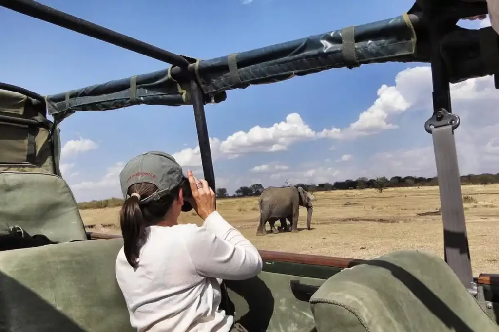 An elephant sighting during a thrilling serengeti big five safari with binoculars.