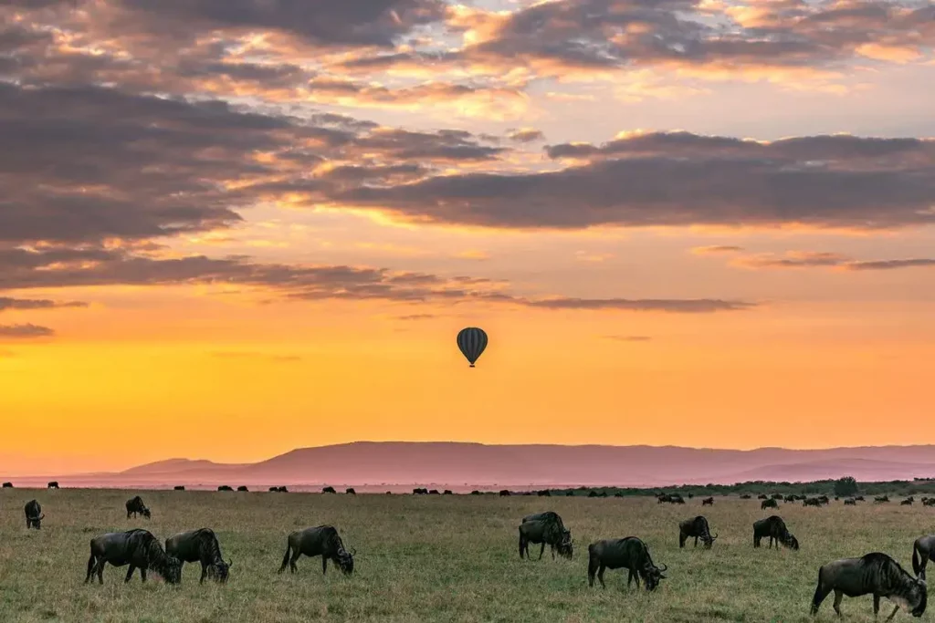 Serengeti national park: wildebeest and balloon safari adventure.