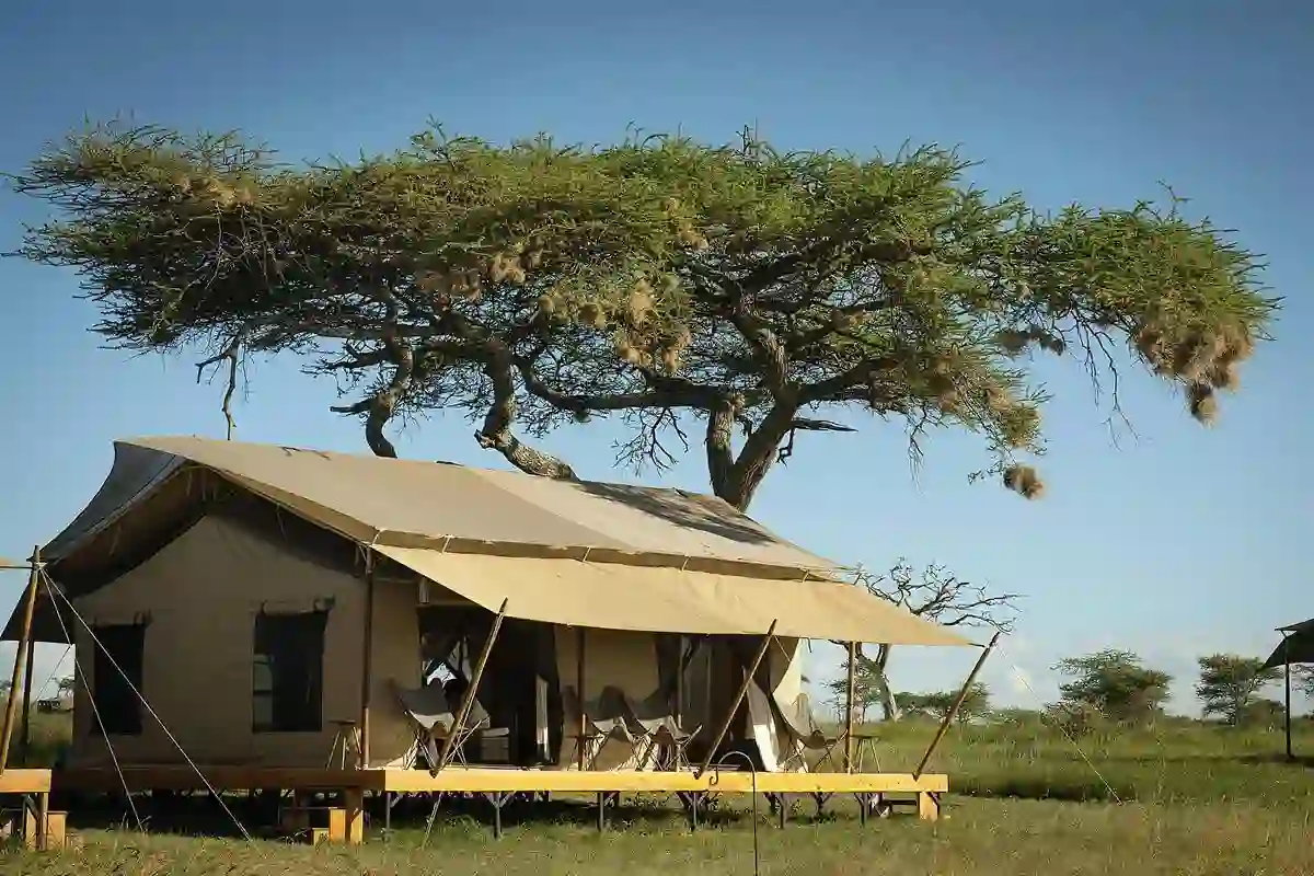 Sringiti serengeti camp