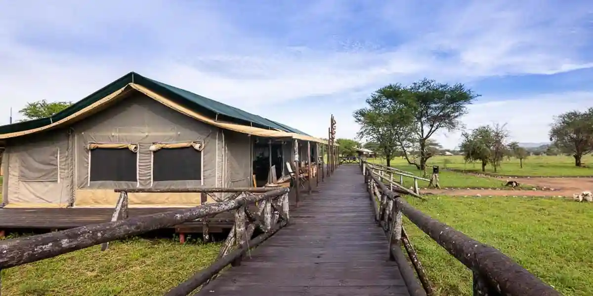 Tanzania serengeti bush camp for adventure souls