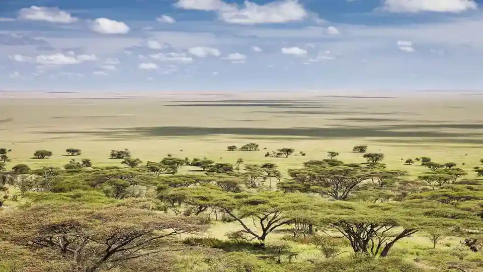 Travel advice for serengeti national park: vast open spaces in tanzania