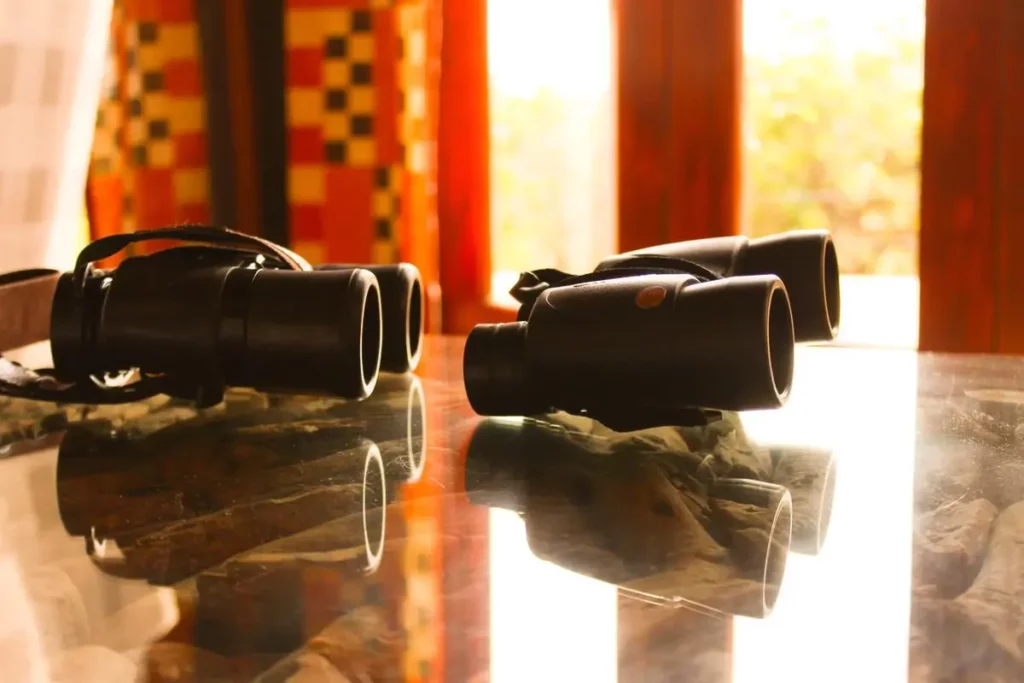 Birdwatching safari essentials: binoculars for the ultimate africa birdwatching experience