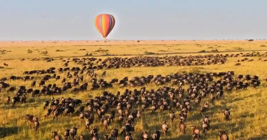 Aerial marvel: hot air balloon in serengeti, witnessing the wildebeest migration