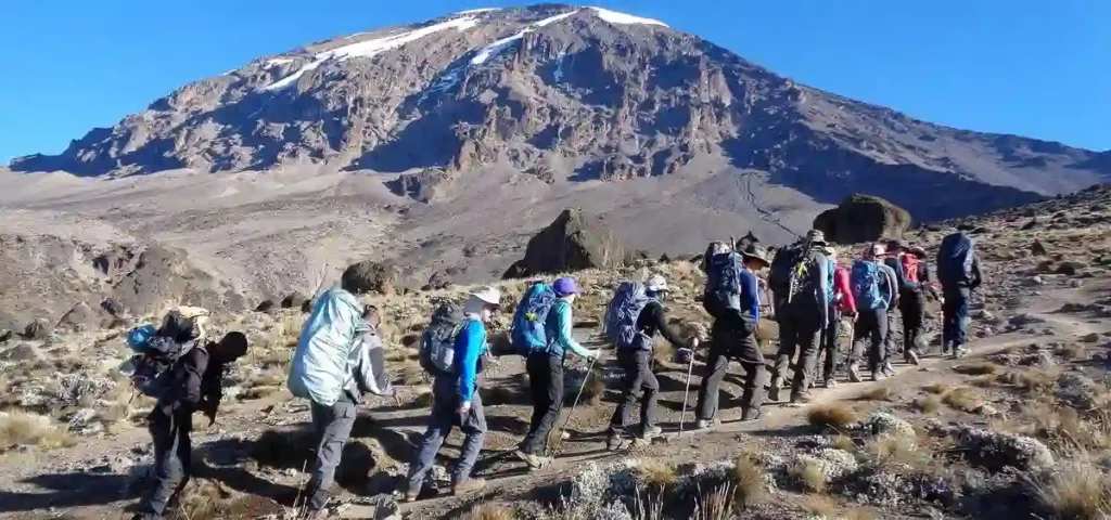 Determined climbers persist on the kilimanjaro shira route, ascending the highest mountain in tanzania amid breathtaking landscapes.