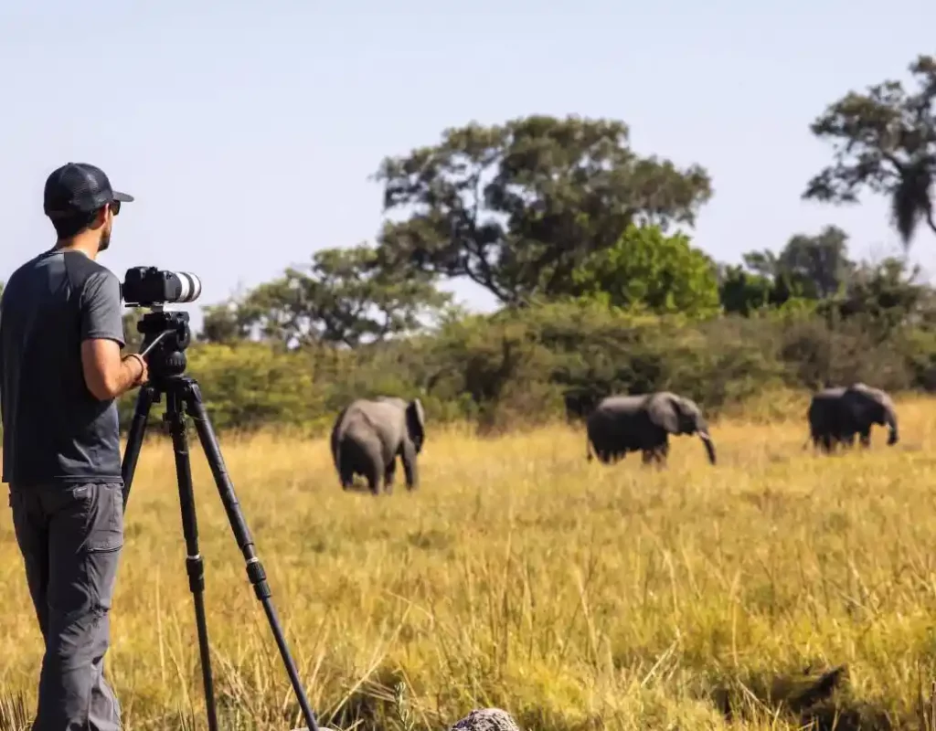 Capturing elephant elegance: african photography safari in ngorongoro crater
