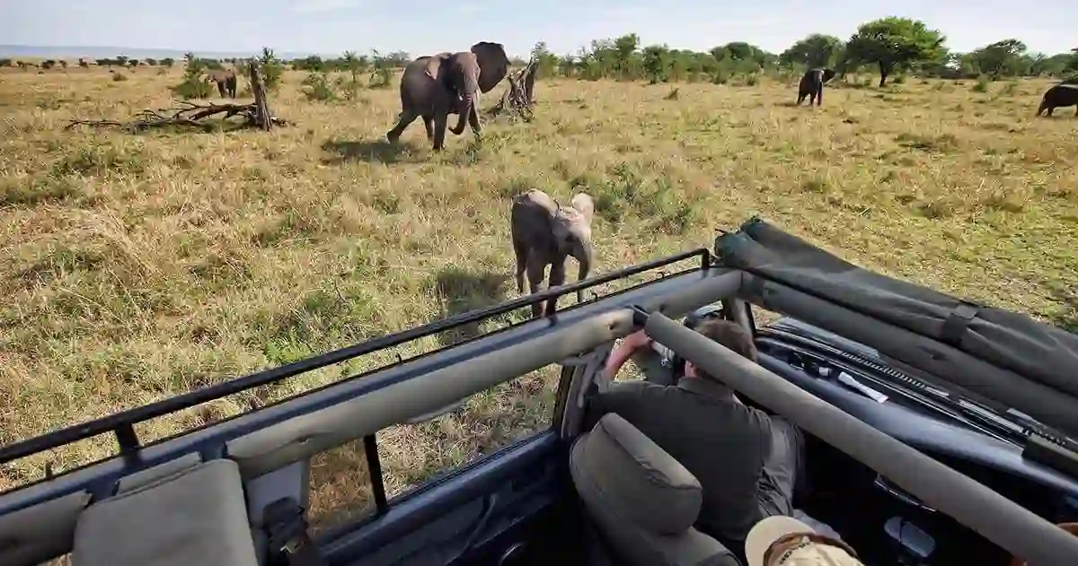 Tanzania safari: thrilling game drive experience