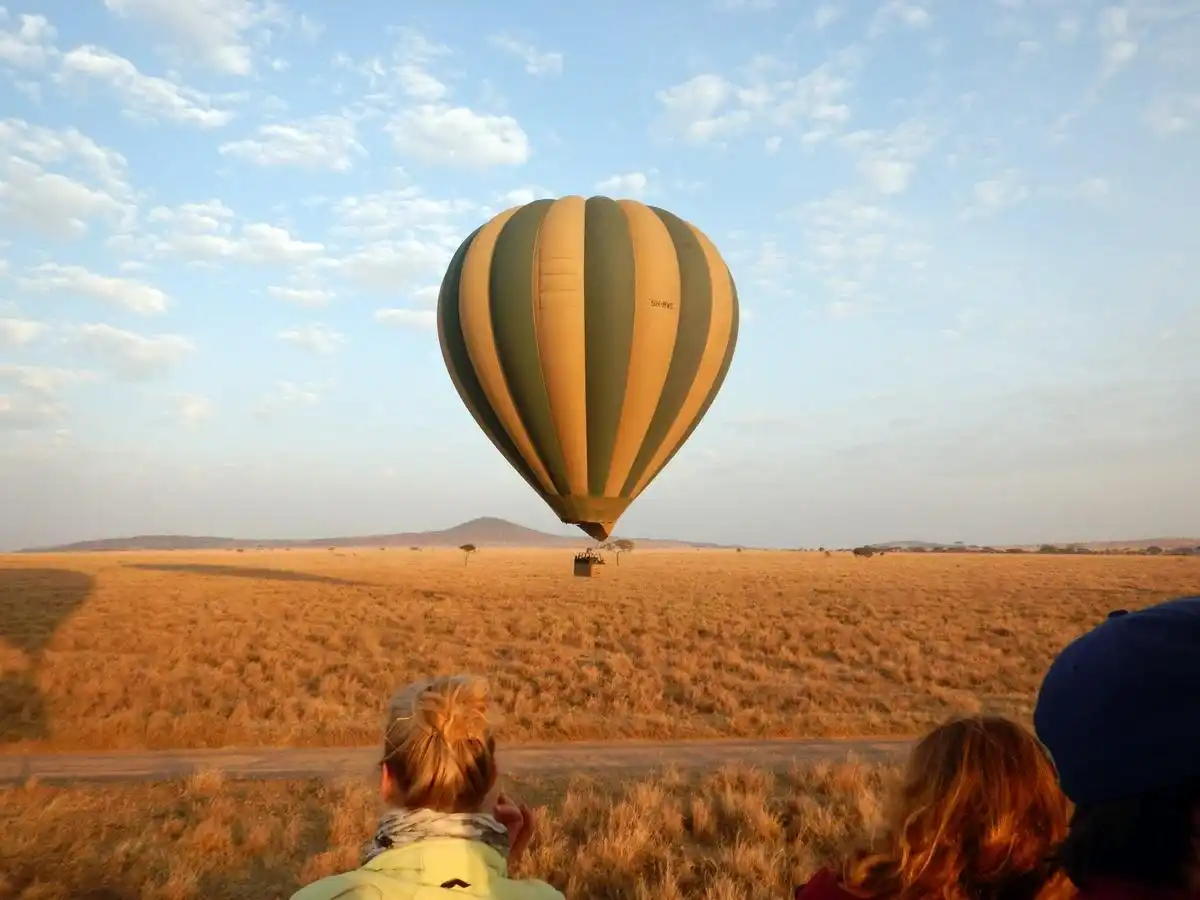 Aerial adventure: wildlife encounter from the above - hot air balloon safari experience
