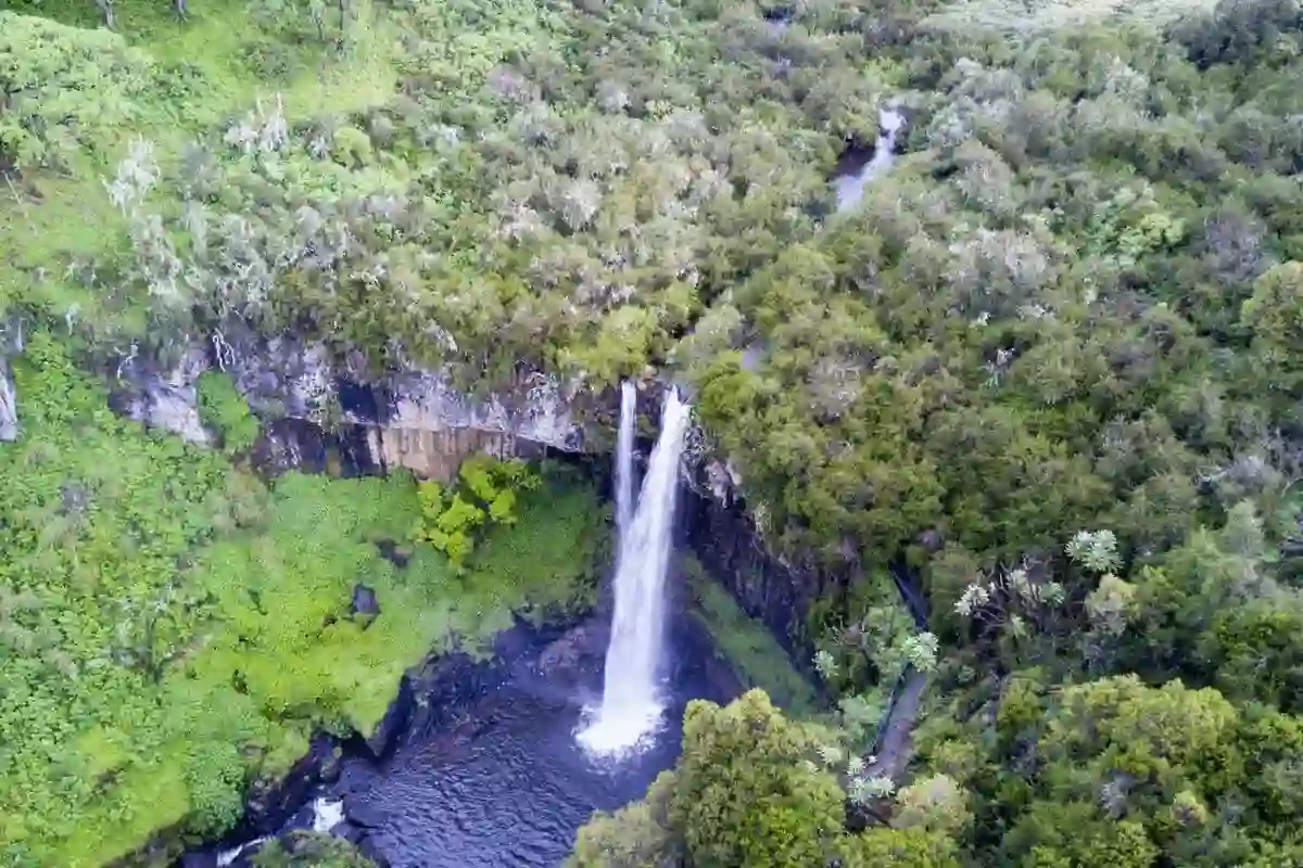 Aberdare national park waterfall: a stunning natural cascade surrounded by the lush greenery of aberdare national park, kenya.