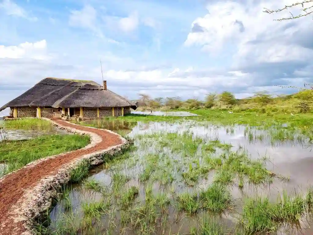 Serene beauty: lake manyara travel advice revealed in mto wa mbu snapshot