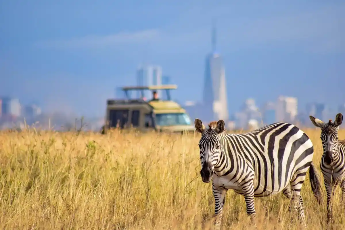 A captivating image of nairobi national park, showcasing the unique beauty of this wildlife haven.