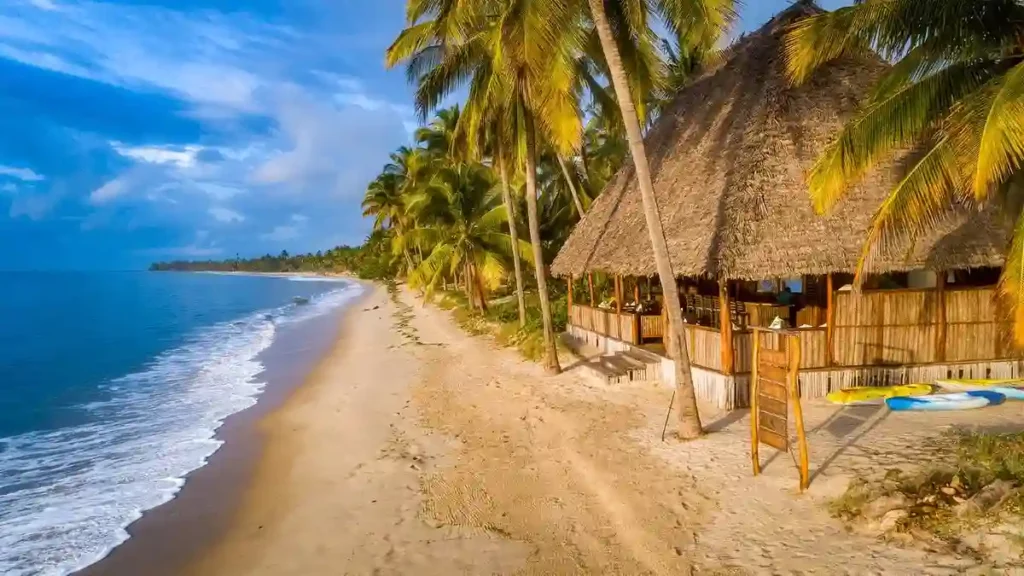 A mesmerizing view of pangani coastal charm, showcasing the beauty of tanzania beaches with golden sands and clear blue waters.