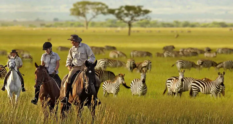 7 days tanzania holidays safari: tarangire, ngorongoro, serengeti, and lake natron adventure.