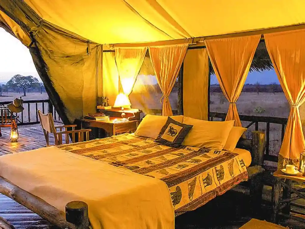 Mikumi national park accommodation: stanley kopjes camp offers a serene retreat amidst the breathtaking landscapes of mikumi. Book your stay for an unforgettable experience in nature.