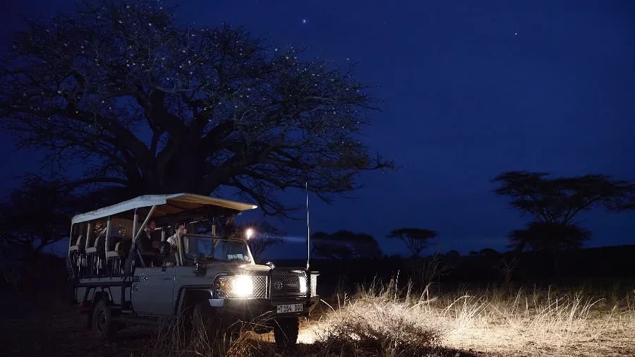 Tarangire travel articles - night game drive captures the essence of wildlife in tarangire national park under the moonlit african sky.